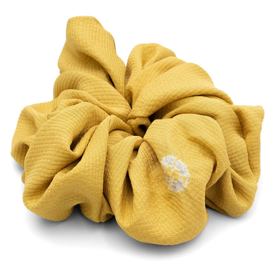 陽だまりのアンバー No.001